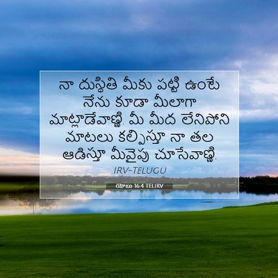 Picture 07 - యోబు 16:4 TELIRV - నా దుస్థితి మీకు - Bible Verse Picture