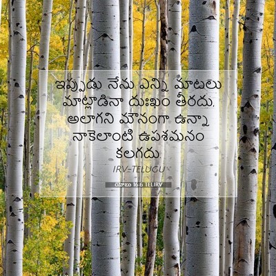 Picture 07 - యోబు 16:6 TELIRV - ఇప్పుడు నేను - Bible Verse Picture