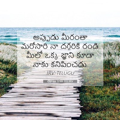 Picture 07 - యోబు 17:10 TELIRV - అప్పుడు మీరంతా - Bible Verse Picture