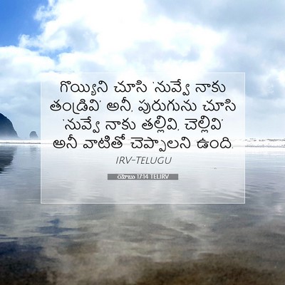 Picture 07 - యోబు 17:14 TELIRV - గొయ్యిని చూసి - Bible Verse Picture