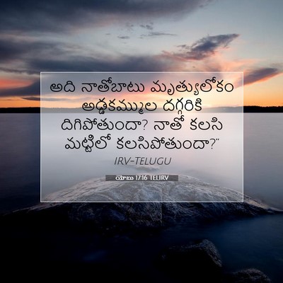 Picture 07 - యోబు 17:16 TELIRV - అది నాతోబాటు - Bible Verse Picture
