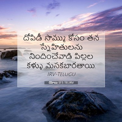 Picture 07 - యోబు 17:5 TELIRV - దోపిడీ సొమ్ము - Bible Verse Picture