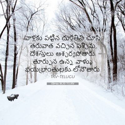 Picture 07 - యోబు 18:20 TELIRV - వాళ్లకు పట్టిన - Bible Verse Picture