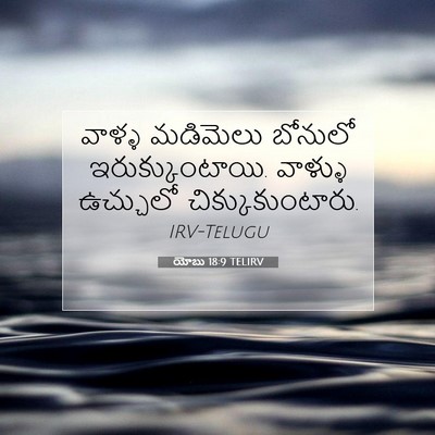 Picture 07 - యోబు 18:9 TELIRV - వాళ్ళ మడిమెలు - Bible Verse Picture