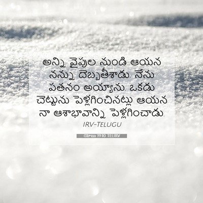 Picture 07 - యోబు 19:10 TELIRV - అన్ని వైపుల నుండి - Bible Verse Picture
