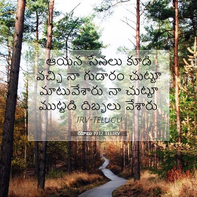 Picture 07 - యోబు 19:12 TELIRV - ఆయన సేనలు కూడి - Bible Verse Picture