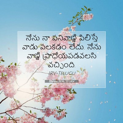 Picture 07 - యోబు 19:16 TELIRV - నేను నా పనివాణ్ణి - Bible Verse Picture