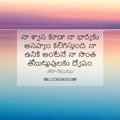Picture 07 - యోబు 19:17 TELIRV - నా శ్వాస కూడా నా - Bible Verse Picture