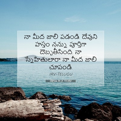 Picture 07 - యోబు 19:21 TELIRV - నా మీద జాలి పడండి. - Bible Verse Picture
