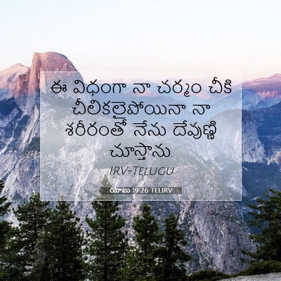 Picture 07 - యోబు 19:26 TELIRV - ఈ విధంగా నా చర్మం - Bible Verse Picture