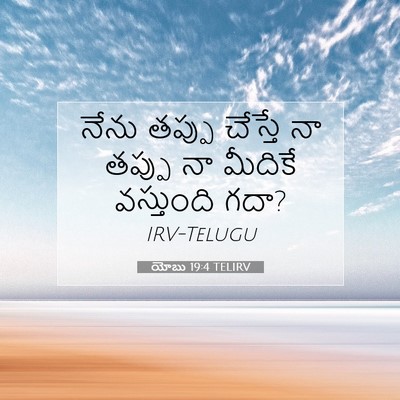 Picture 07 - యోబు 19:4 TELIRV - నేను తప్పు చేస్తే - Bible Verse Picture
