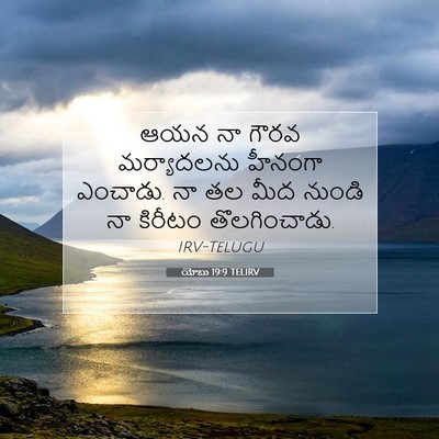 Picture 07 - యోబు 19:9 TELIRV - ఆయన నా గౌరవ - Bible Verse Picture