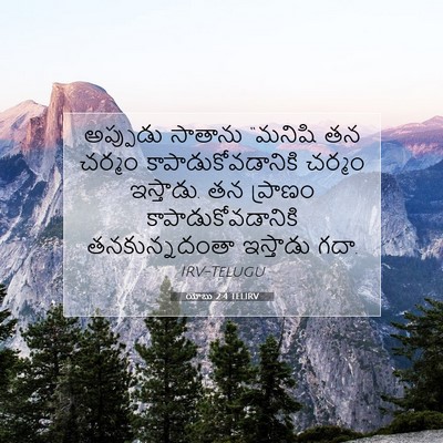 Picture 07 - యోబు 2:4 TELIRV - అప్పుడు సాతాను - Bible Verse Picture