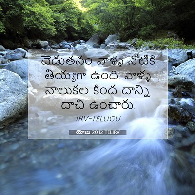 Picture 07 - యోబు 20:12 TELIRV - చెడుతనం వాళ్ళ - Bible Verse Picture