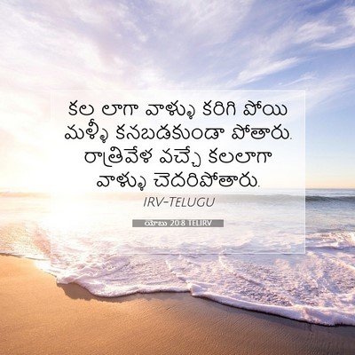 Picture 07 - యోబు 20:8 TELIRV - కల లాగా వాళ్ళు - Bible Verse Picture