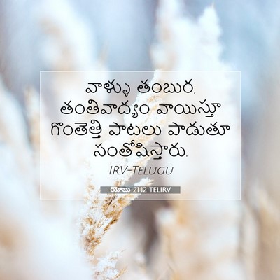 Picture 07 - యోబు 21:12 TELIRV - వాళ్ళు తంబుర, - Bible Verse Picture