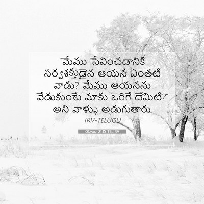 Picture 07 - యోబు 21:15 TELIRV - “మేము - Bible Verse Picture