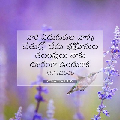 Picture 07 - యోబు 21:16 TELIRV - వారి ఎదుగుదల - Bible Verse Picture