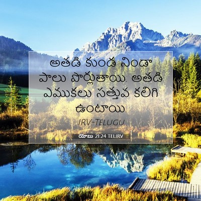 Picture 07 - యోబు 21:24 TELIRV - అతడి కుండ నిండా - Bible Verse Picture