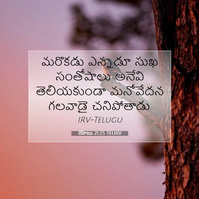 Picture 07 - యోబు 21:25 TELIRV - మరొకడు ఎన్నడూ సుఖ - Bible Verse Picture