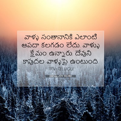 Picture 07 - యోబు 21:9 TELIRV - వాళ్ళ సంతానానికి - Bible Verse Picture