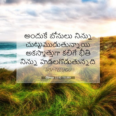Picture 07 - యోబు 22:10 TELIRV - అందుకే బోనులు - Bible Verse Picture