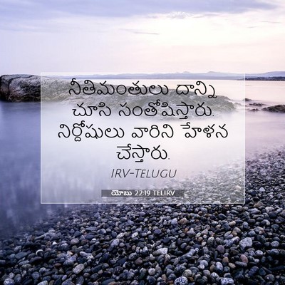 Picture 07 - యోబు 22:19 TELIRV - నీతిమంతులు దాన్ని - Bible Verse Picture