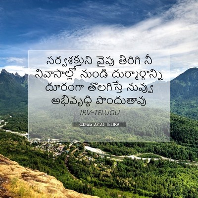 Picture 07 - యోబు 22:23 TELIRV - సర్వశక్తుని వైపు - Bible Verse Picture