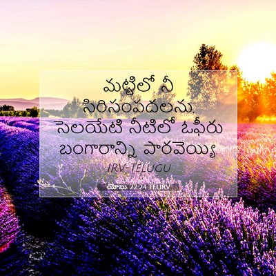 Picture 07 - యోబు 22:24 TELIRV - మట్టిలో నీ - Bible Verse Picture