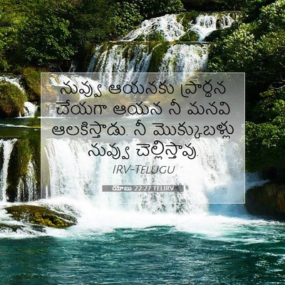 Picture 07 - యోబు 22:27 TELIRV - నువ్వు ఆయనకు - Bible Verse Picture