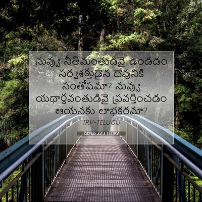 Picture 07 - యోబు 22:3 TELIRV - నువ్వు - Bible Verse Picture