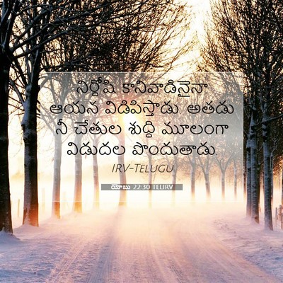 Picture 07 - యోబు 22:30 TELIRV - నిర్దోషి - Bible Verse Picture