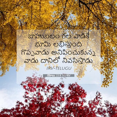 Picture 07 - యోబు 22:8 TELIRV - బాహుబలం గల వాడికే - Bible Verse Picture