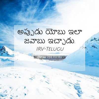 Picture 07 - యోబు 23:1 TELIRV - అప్పుడు యోబు ఇలా - Bible Verse Picture