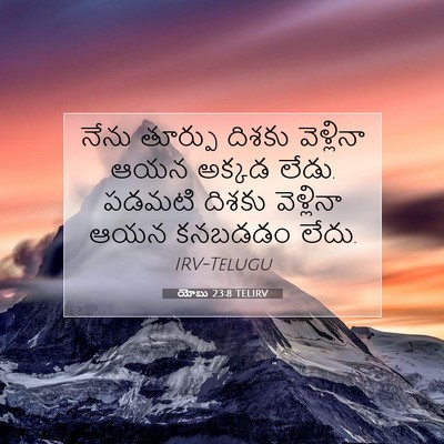 Picture 07 - యోబు 23:8 TELIRV - నేను తూర్పు దిశకు - Bible Verse Picture