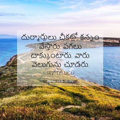 Picture 07 - యోబు 24:16 TELIRV - దుర్మార్గులు - Bible Verse Picture