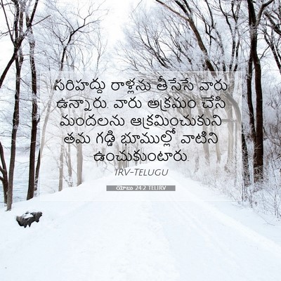 Picture 07 - యోబు 24:2 TELIRV - సరిహద్దు రాళ్లను - Bible Verse Picture