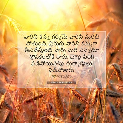 Picture 07 - యోబు 24:20 TELIRV - వారిని కన్న - Bible Verse Picture