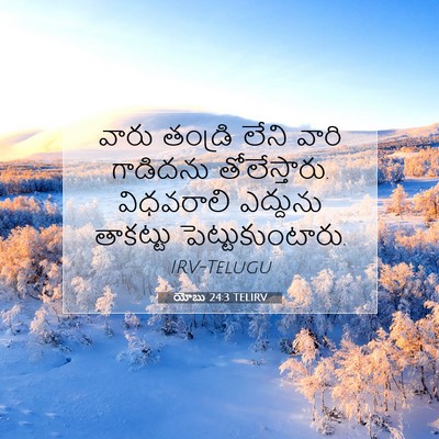 Picture 07 - యోబు 24:3 TELIRV - వారు తండ్రి లేని - Bible Verse Picture