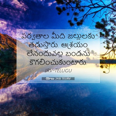 Picture 07 - యోబు 24:8 TELIRV - పర్వతాల మీది - Bible Verse Picture