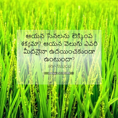 Picture 07 - యోబు 25:3 TELIRV - ఆయన సేనలను - Bible Verse Picture