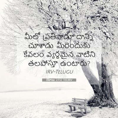 Picture 07 - యోబు 27:12 TELIRV - మీలో ప్రతివాడూ - Bible Verse Picture