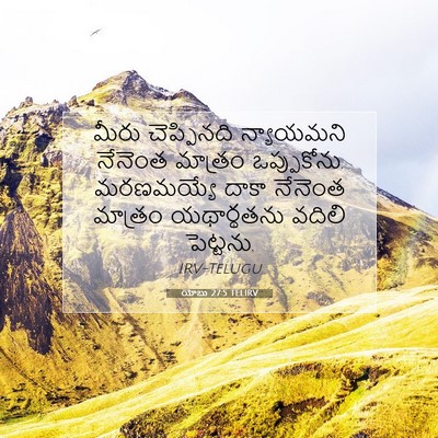Picture 07 - యోబు 27:5 TELIRV - మీరు చెప్పినది - Bible Verse Picture