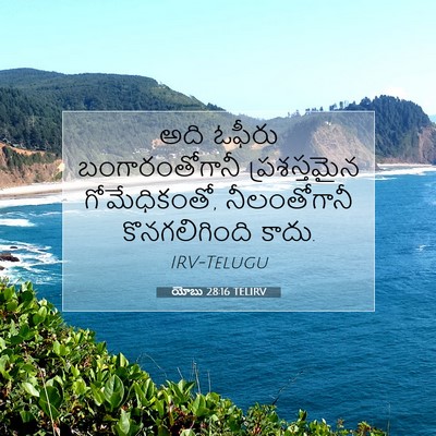 Picture 07 - యోబు 28:16 TELIRV - అది ఓఫీరు - Bible Verse Picture