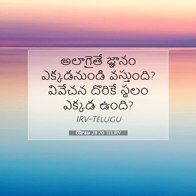 Picture 07 - యోబు 28:20 TELIRV - అలాగైతే జ్ఞానం - Bible Verse Picture