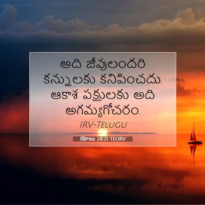 Picture 07 - యోబు 28:21 TELIRV - అది జీవులందరి - Bible Verse Picture