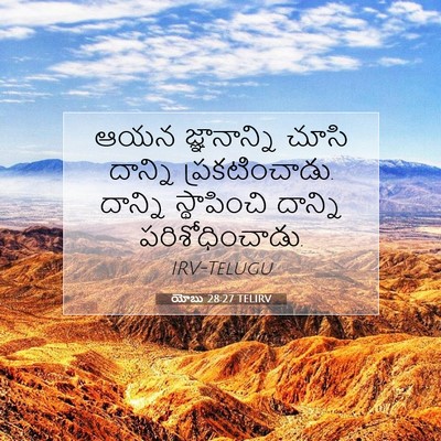 Picture 07 - యోబు 28:27 TELIRV - ఆయన జ్ఞానాన్ని - Bible Verse Picture