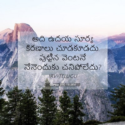 Picture 07 - యోబు 3:10 TELIRV - అది ఉదయ సూర్య - Bible Verse Picture
