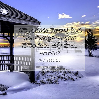 Picture 07 - యోబు 3:12 TELIRV - నన్నెందుకు - Bible Verse Picture