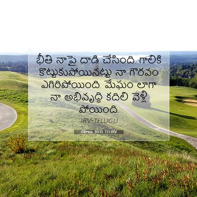 Picture 07 - యోబు 30:15 TELIRV - భీతి నాపై దాడి - Bible Verse Picture